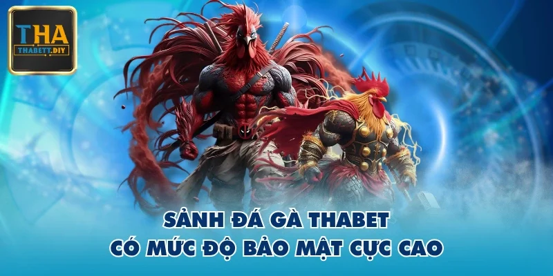 Sảnh đá gà THABET có mức độ bảo mật cực cao